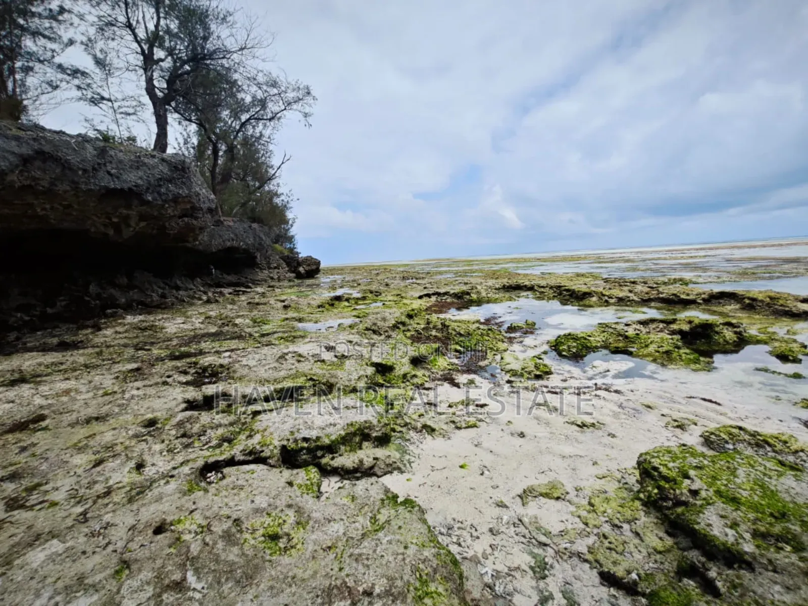 Beach Plot for Sale at Zanzibar