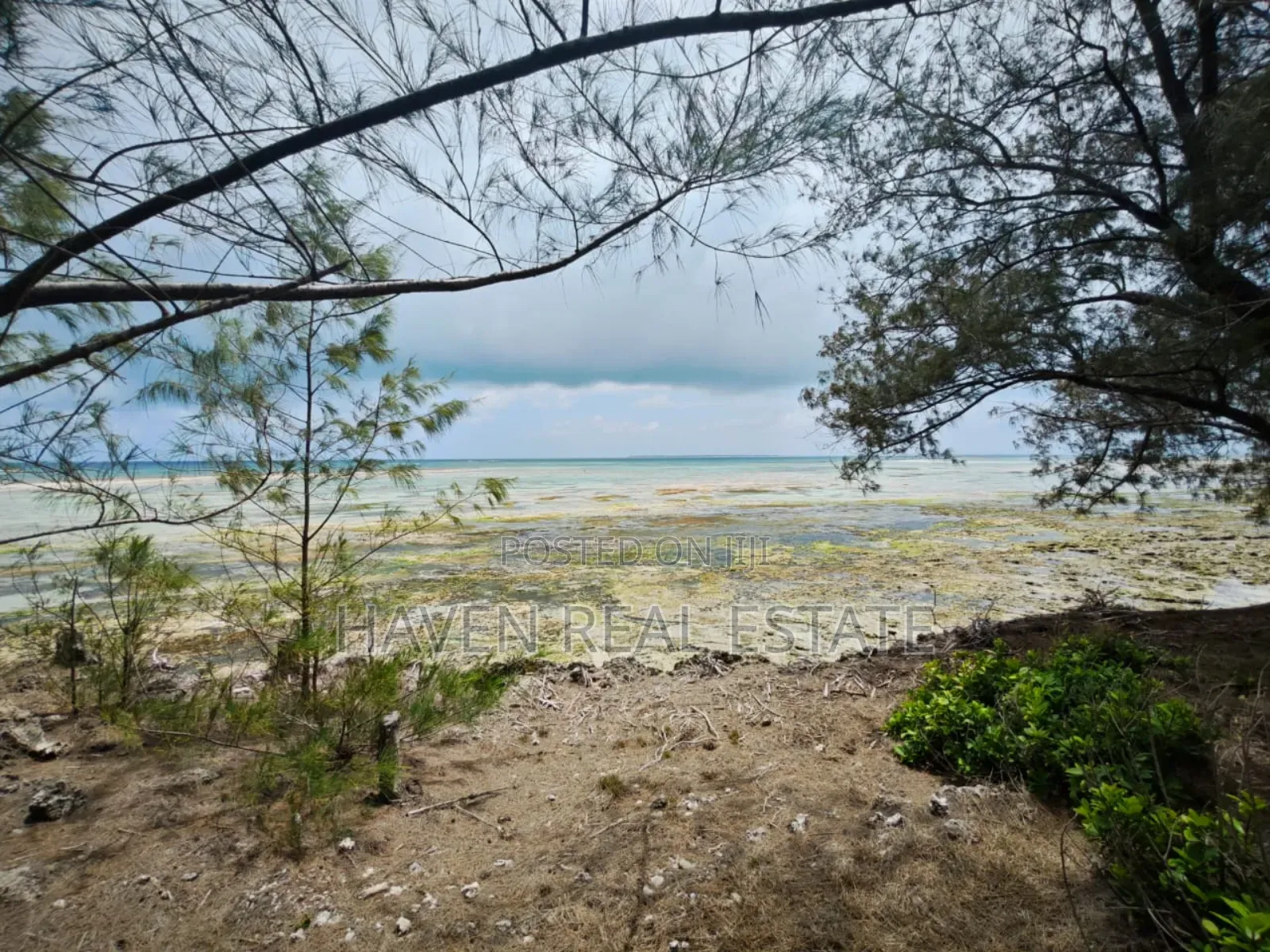 Beach Plot for Sale at Zanzibar