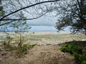 Beach Plot for Sale at Zanzibar