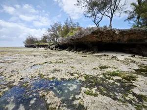 Beach Plot for Sale at Zanzibar