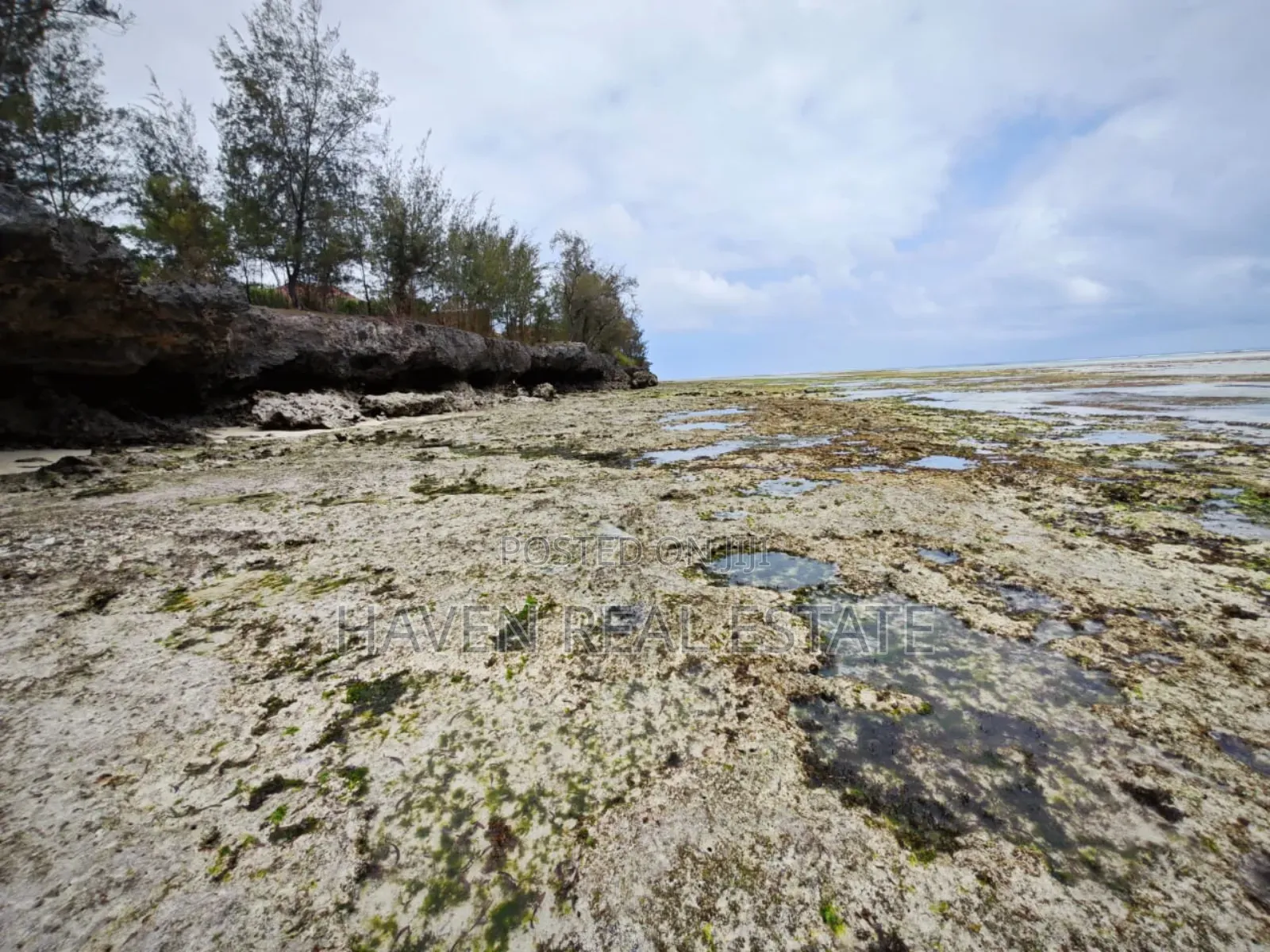 Beach Plot for Sale at Zanzibar