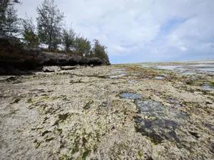Beach Plot for Sale at Zanzibar