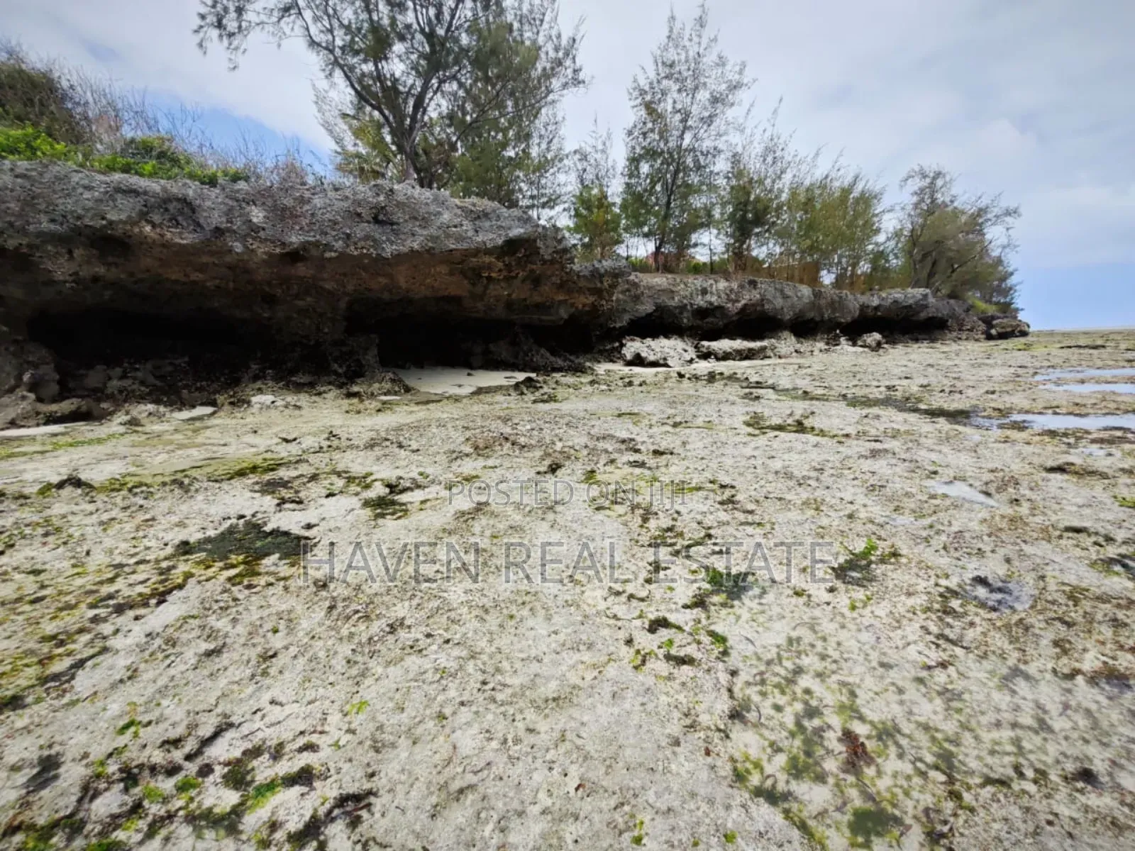 Beach Plot for Sale at Zanzibar