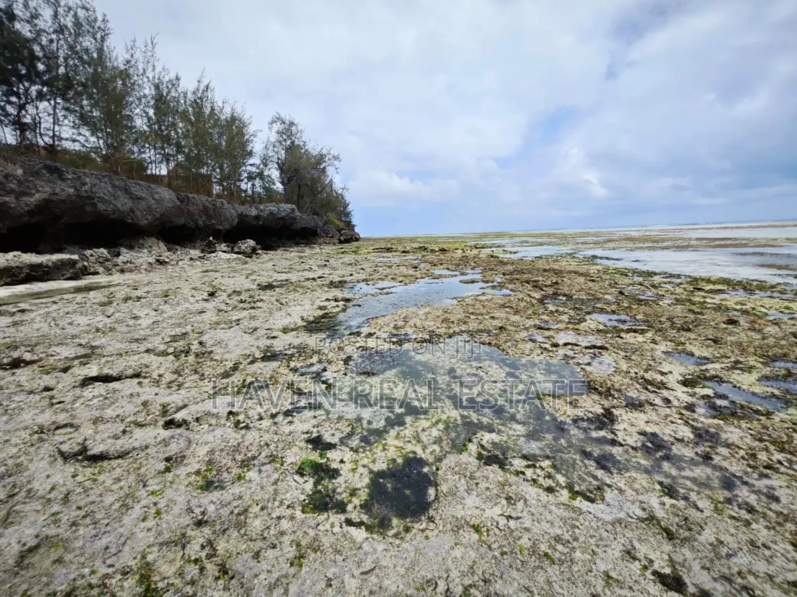 Beach Plot for Sale at Zanzibar