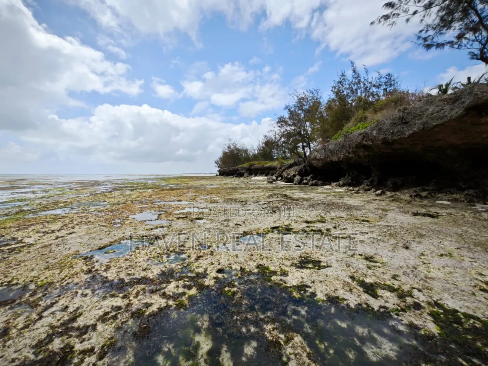 Beach Plot for Sale at Zanzibar