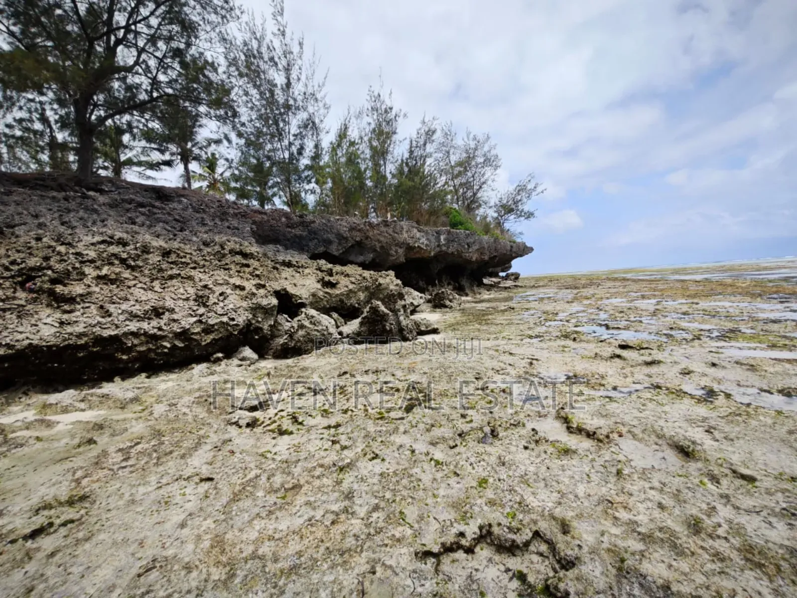 Beach Plot for Sale at Zanzibar