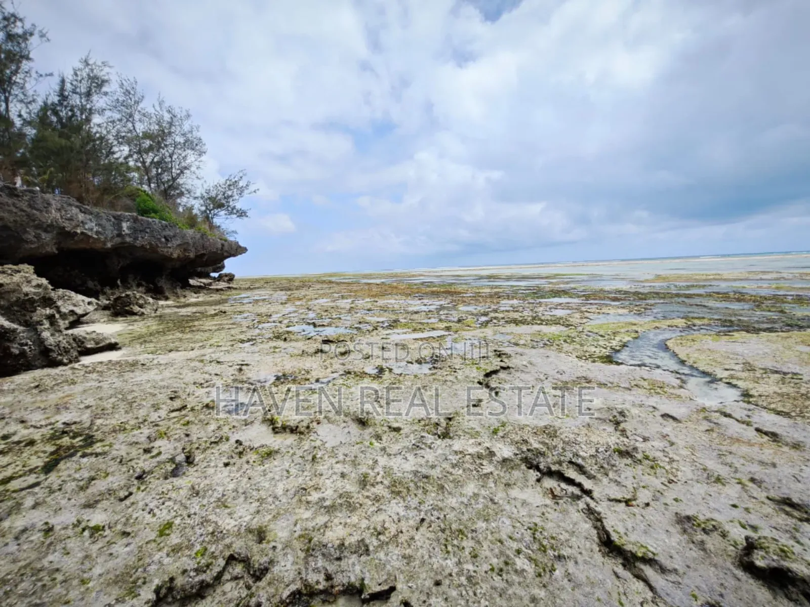 Beach Plot for Sale at Zanzibar