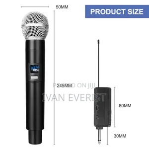 Wireless Professional Microphone
