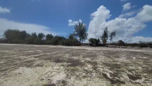Beach Plot for Sale at Zanzibar