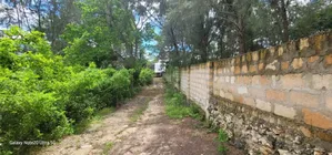 11 Acres Beach Plot for Sale at Zanzibar