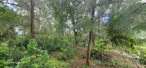 11 Acres Beach Plot for Sale at Zanzibar