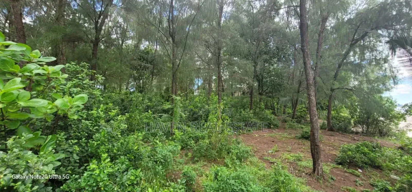 11 Acres Beach Plot for Sale at Zanzibar