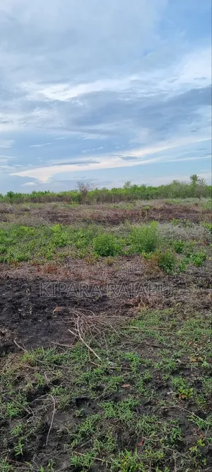 Shamba Linauzwa Kiwangwa