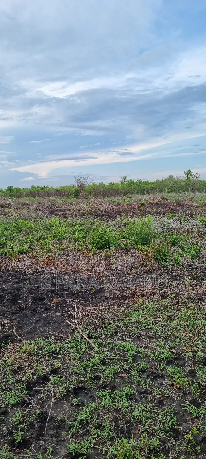 Shamba Linauzwa Kiwangwa