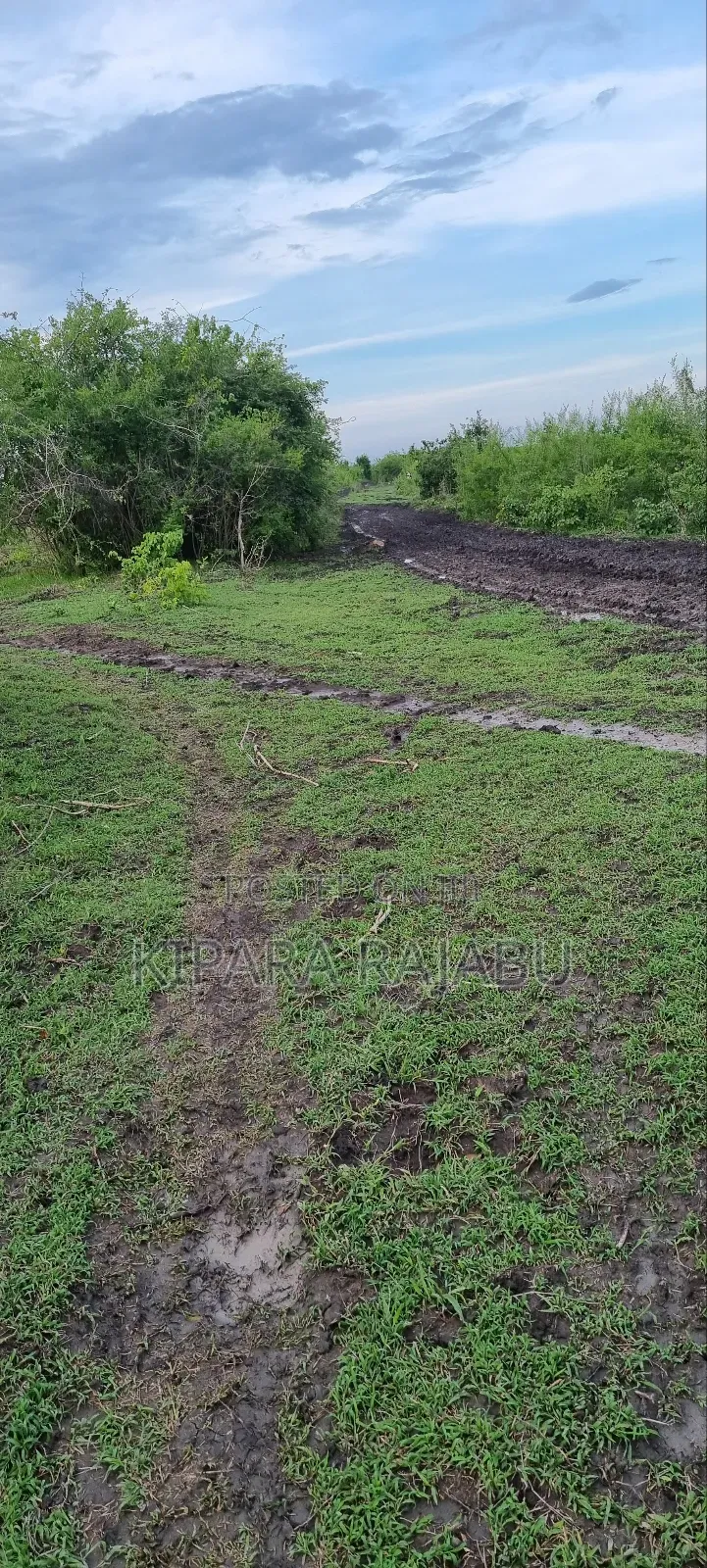 Shamba Linauzwa Kiwangwa