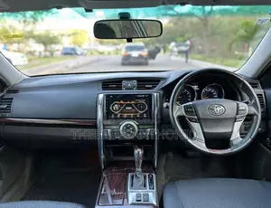 Toyota Mark X 2010 Black