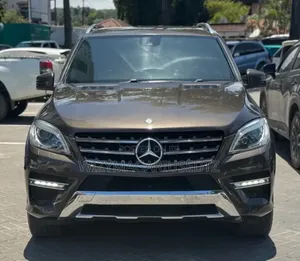 Mercedes-Benz M Class 2015 Brown