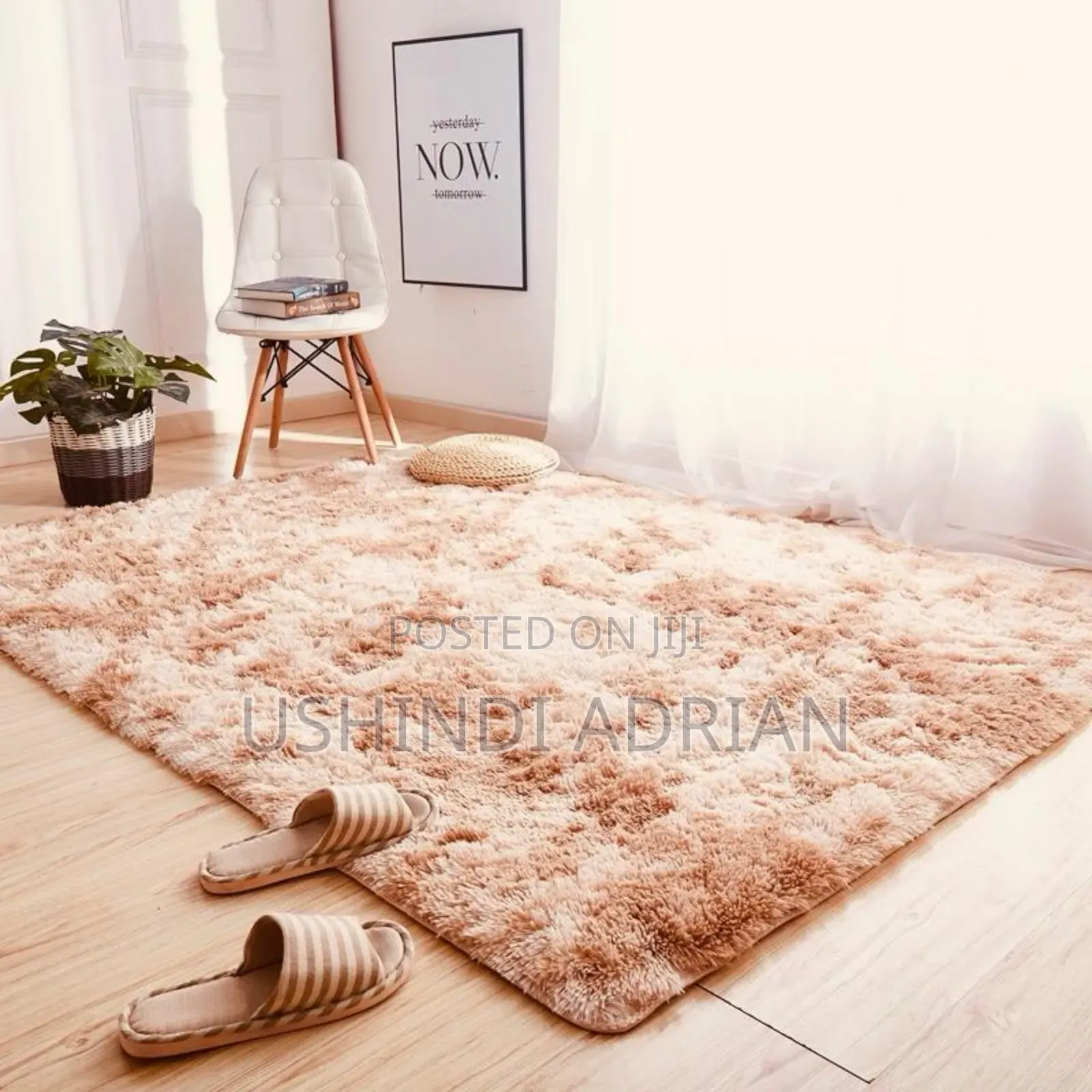 Carpet Za Manyoya Marefu