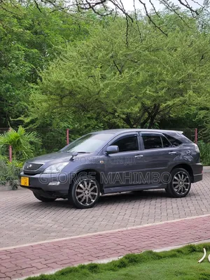 Toyota Harrier 2006 Gray