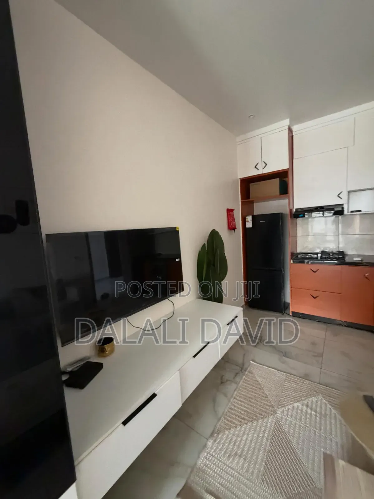 Furnished 1bdrm Apartment in Kinondoni Vijana for rent