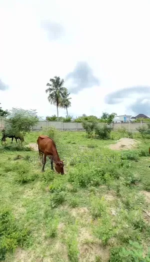 Residential Plot for Sale Mil at Mbweni, Dar Es Salaam