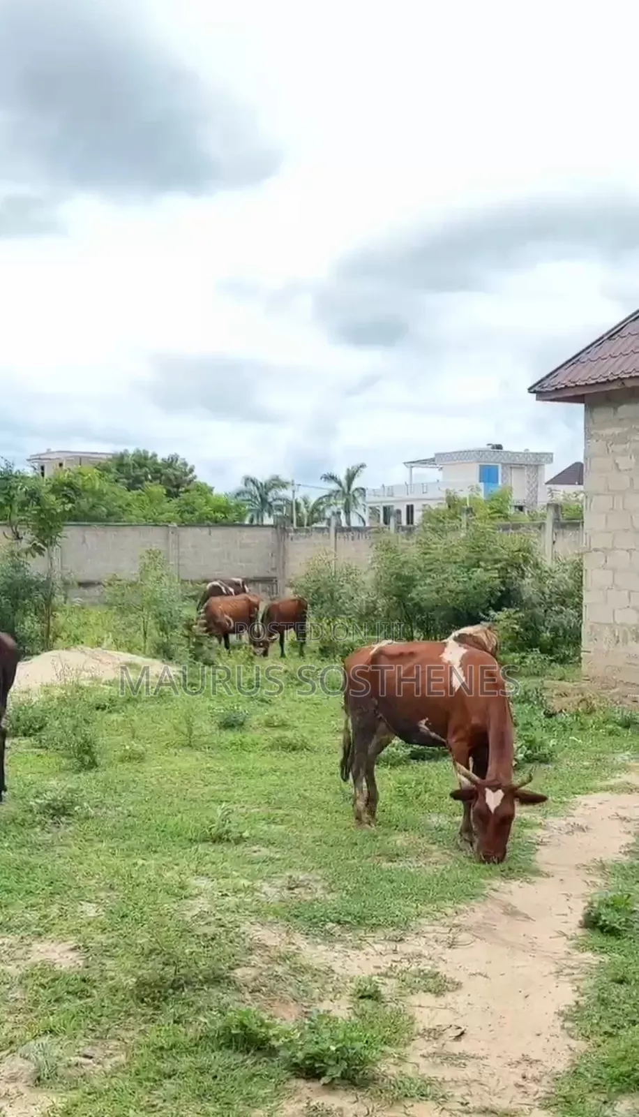Residential Plot for Sale Mil at Mbweni, Dar Es Salaam