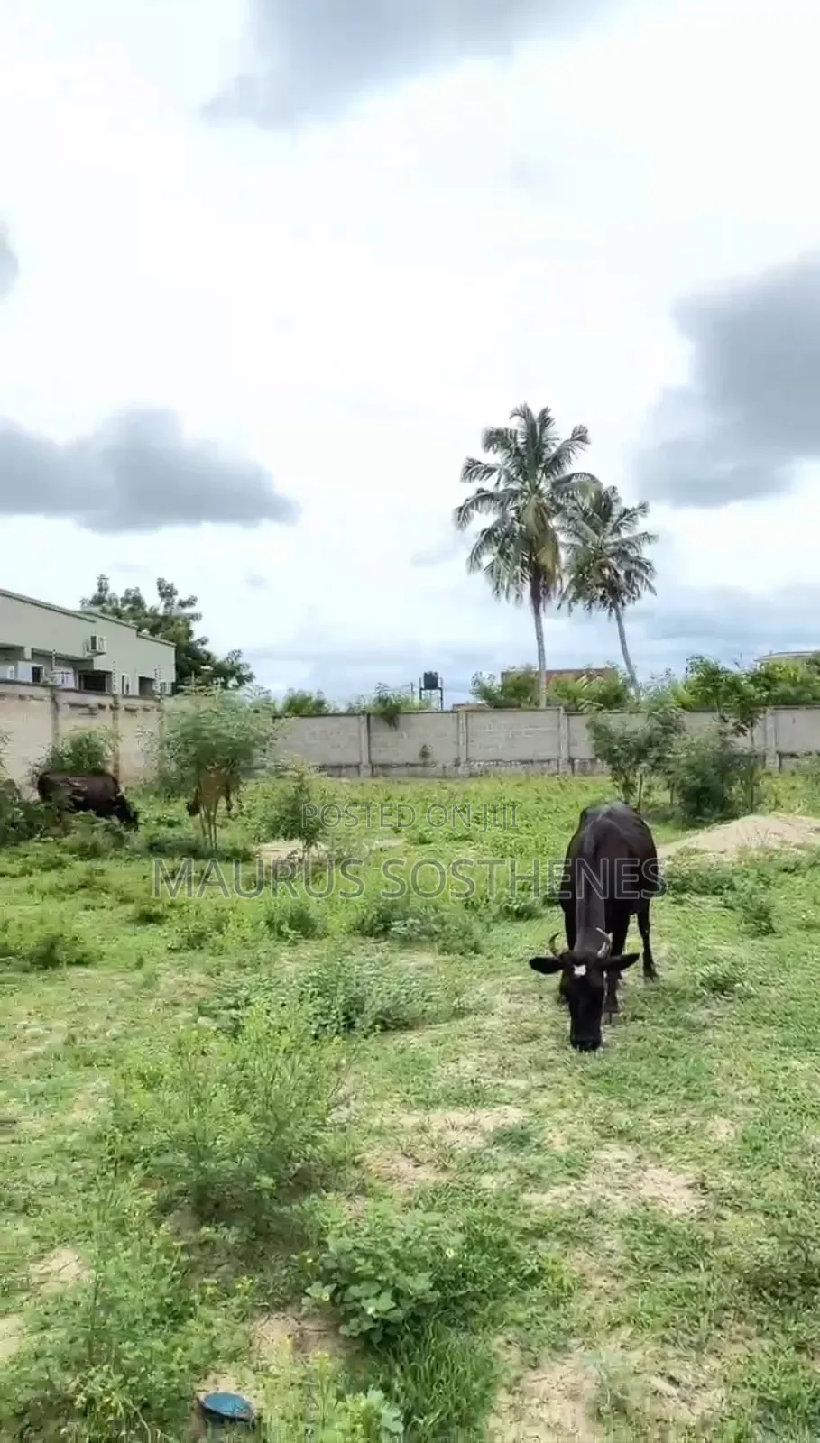 Residential Plot for Sale Mil at Mbweni, Dar Es Salaam