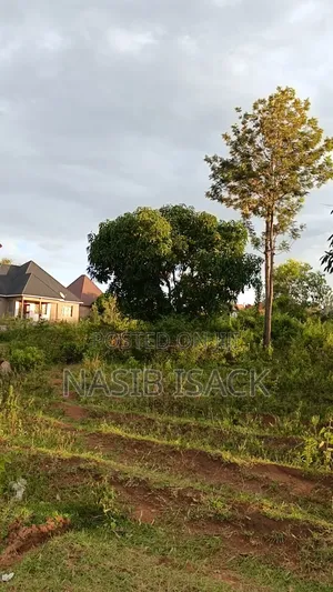 Plot for Sale 3000 Square Meters Busweru