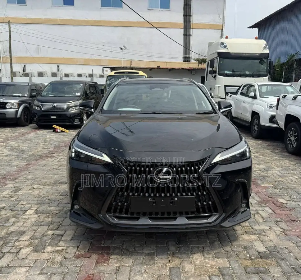 Lexus NX 2024 Black