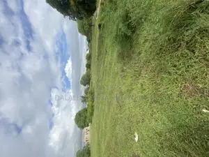 Plot for Sale Dege Kigamboni