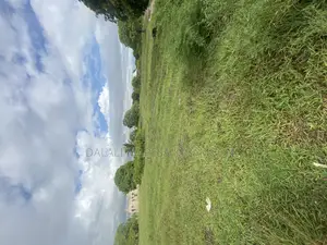 Plot for Sale Dege Kigamboni