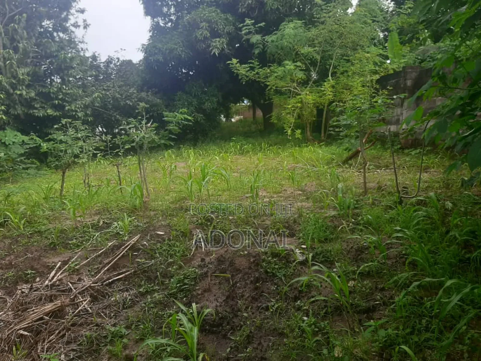 Nyumba Na Eneo Kubwa Kibaha