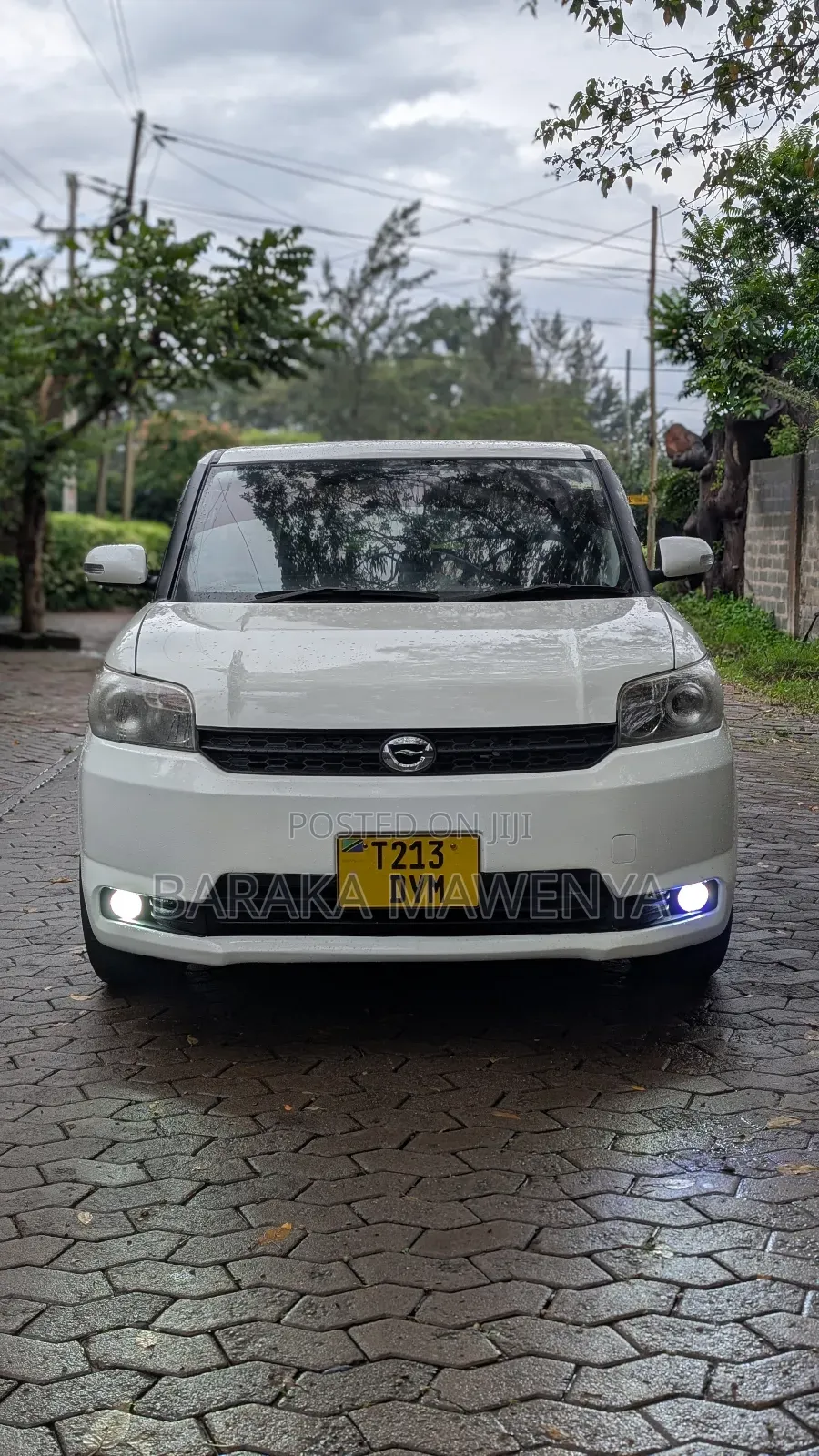 Toyota Corolla Rumion 2008 Pearl