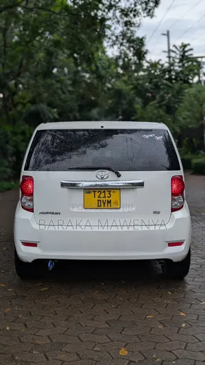 Toyota Corolla Rumion 2008 Pearl