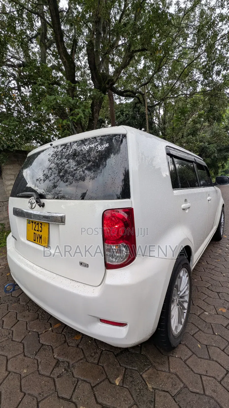Toyota Corolla Rumion 2008 Pearl