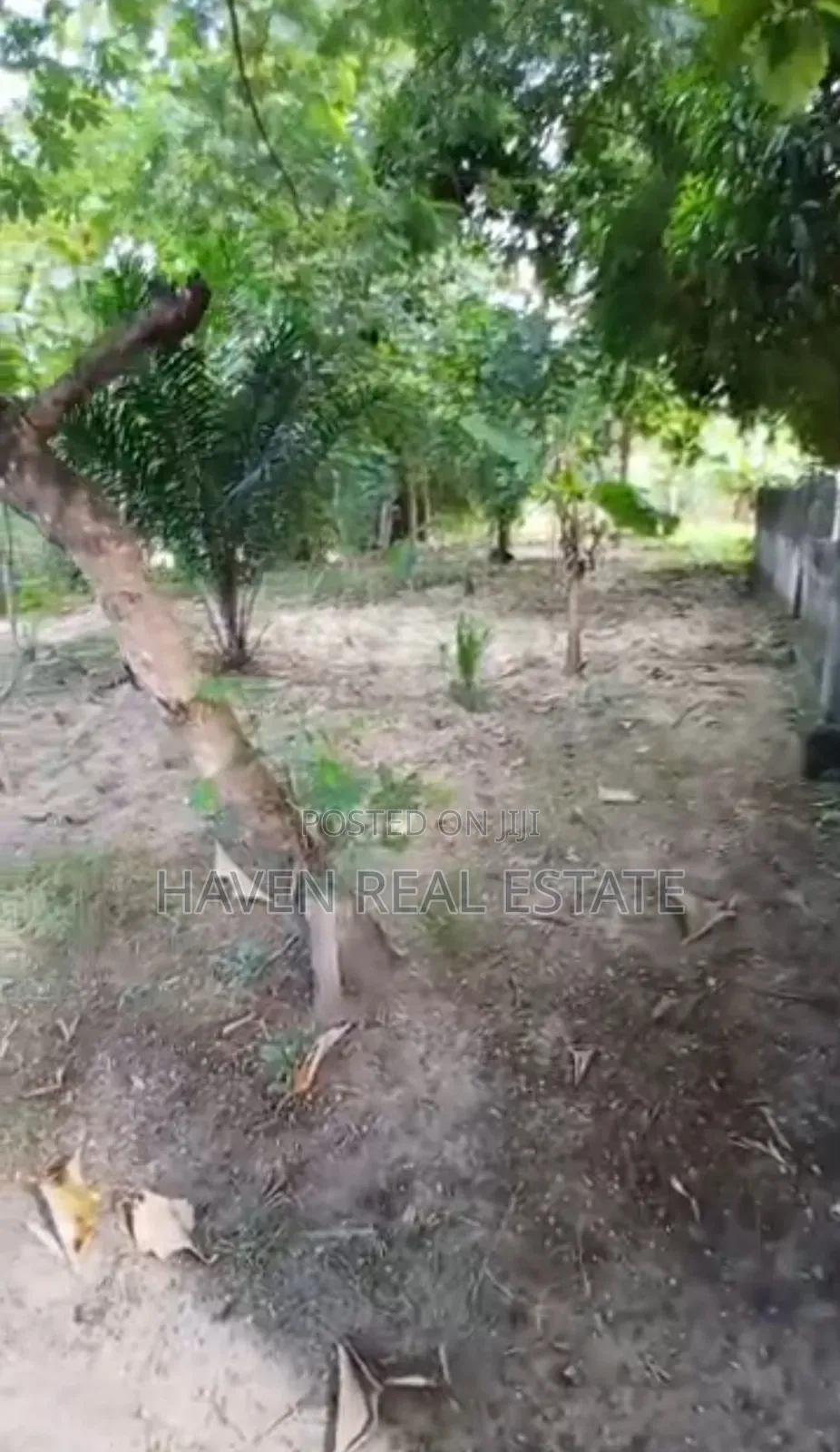 3bdrm House in Kimara for sale