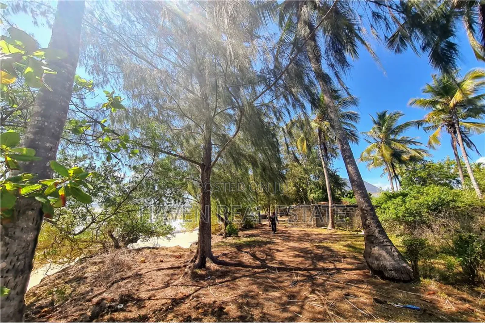 Beach Plot for Sale at Zanzibar
