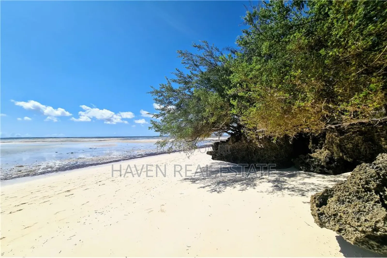 Beach Plot for Sale at Zanzibar