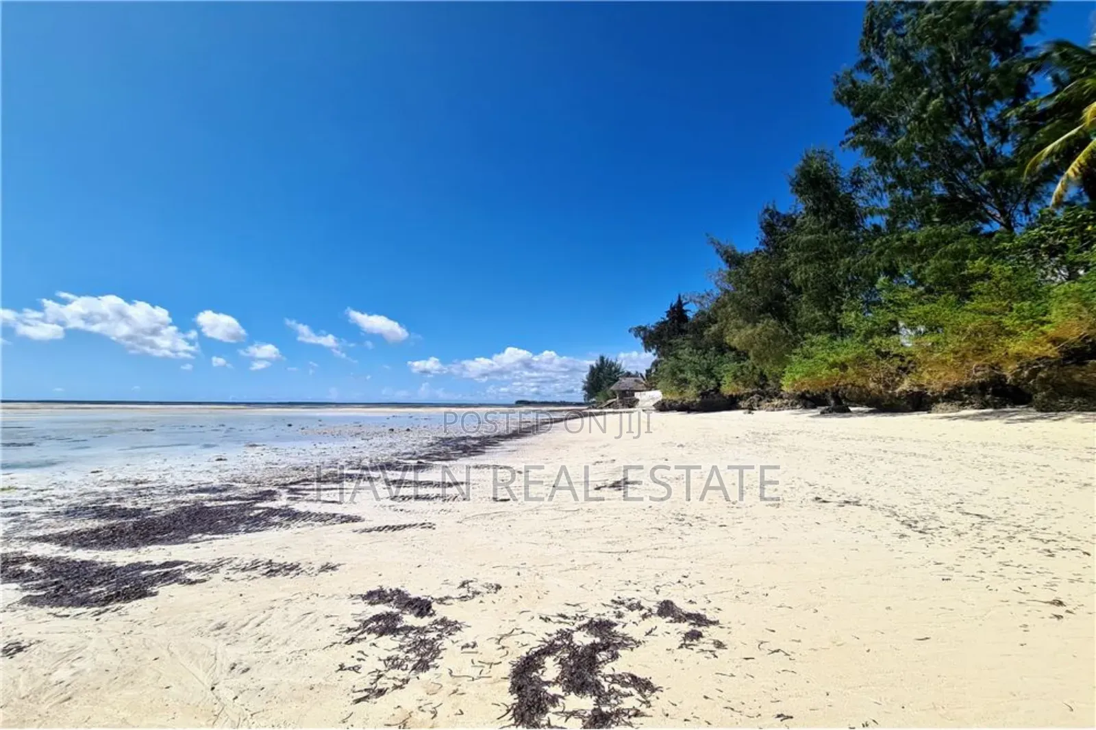 Beach Plot for Sale at Zanzibar