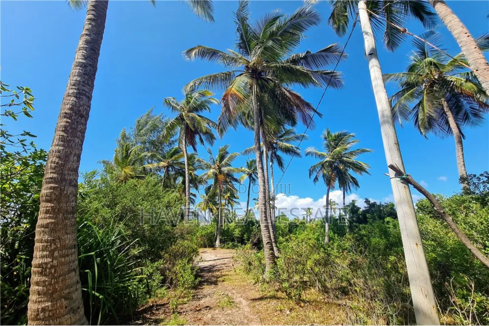 Beach Plot for Sale at Zanzibar