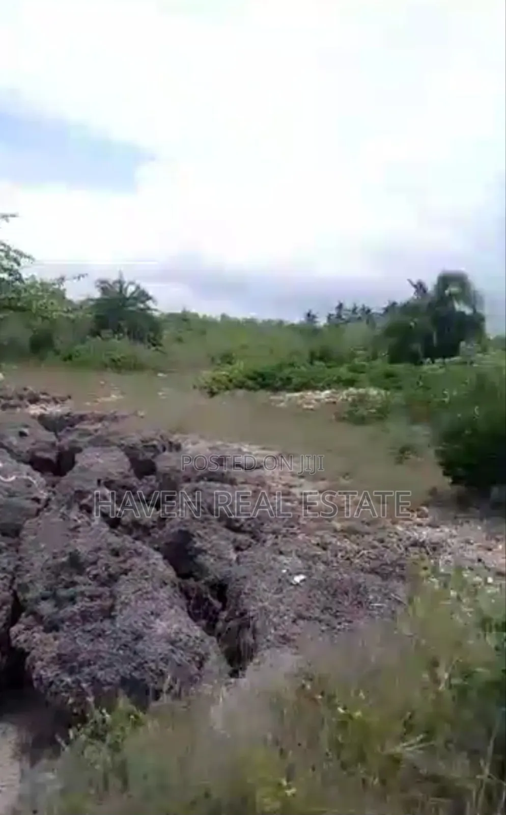 Beach Plot for Sale at Zanzibar