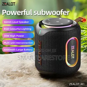 Zealot M1 Subwoofer