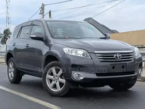 Toyota Vanguard 2009 Gray