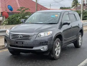 Toyota Vanguard 2009 Gray