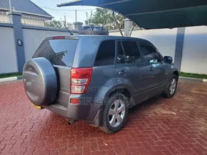 Suzuki Grand Vitara 2007 Gray