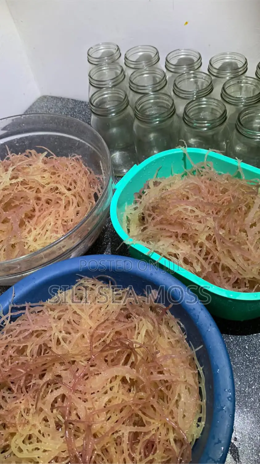 Zanzibar Sea Moss