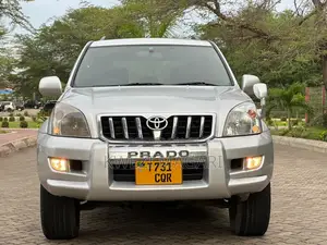 Toyota Land Cruiser Prado 2005 Silver