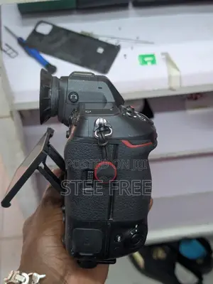 Nikon Z9 Mirrorless Camera
