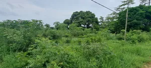 Kiwanja Kinauzwa Kilimahewa Mbweni