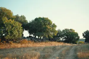 Kiwanja Kipo Chanika Zingiziwa 20/20 M2.5 Kwa Mawasiliano)